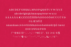 Kuchek Elegant Modern Serif Font Product Image 5