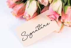 Saturday Christmas Product Image 5