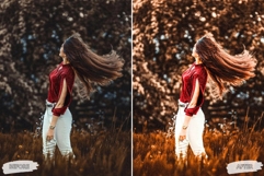 10 Moonless Night Mobile Lightroom Presets Product Image 5