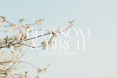Royal Garden - Unique Semi Serif Product Image 5