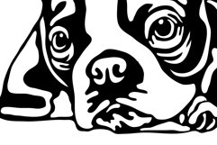 Boston Terrier/Dog Svg/Png/Jpg/Ai/Vector purebred breed Product Image 6