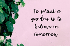 Bolabos Script Product Image 5