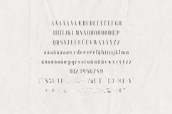 Baleine Elegant Modern Serif Font Product Image 5