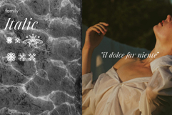 Mapalie Elegant Italic Serif Product Image 5