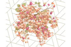 Fall Foliage Clipart PNG, Pink and Green Leaves Product Image 5