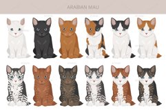 Arabian Mau Cat clipart Product Image 4