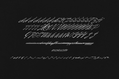 Radiant Horizon Signature Script Font Product Image 5