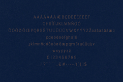 Marka Elegant Modern Serif Font Product Image 5