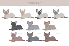 Thai Lilac cat Product Image 4