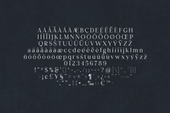 Creators Type Modern Slab Serif Display Font Product Image 5