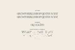 Highfield Elegant Editorial Serif Product Image 5