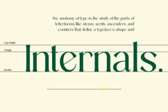 Sarghet Regular Product Image 5