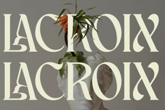 Schales - Aesthetic Ligature Serif Font Product Image 5