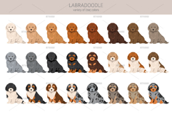 Labradoodle clipart Product Image 4