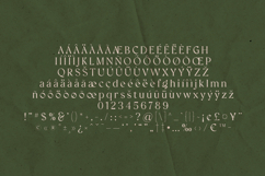 Creators Type Organic Editorial Serif Font Product Image 5