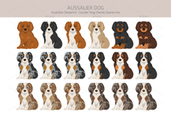 Aussalier dog Product Image 4