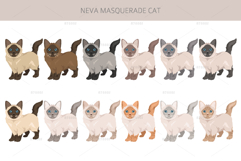 Neva Masquerade cat Product Image 4
