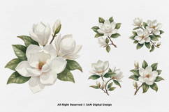 15 Bundle Watercolor Magnolia Floral White Flower Botanical Product Image 5