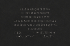 Arowen Organic Serif Font Product Image 5