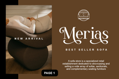 Nexila - Luxury Serif Font Product Image 5