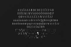 Avarice Elegant High Contrast Serif Font Product Image 5