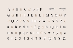Burnt Anchor - Romantic Serif Product Image 5