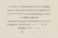 Mother Elegant High-Contrast Serif Font Product Image 5