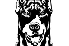 Doberman dog/Dog Svg/Png/Jpg/Ai/Vector purebred breed/Pet Product Image 5