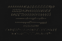 Eclipse Elegant Signature Script Font Product Image 5