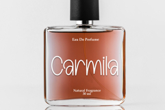 Christmas Decoration Product Image 5