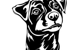Jack-russell terrier/Dog Svg/Png/Jpg/Ai/Vector breed Product Image 6