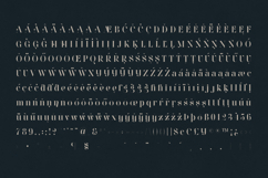 Wonderz Modern Editorial Serif Font Product Image 5