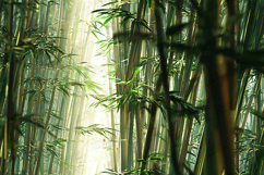 Sunlit Bamboo Forest Background with Soft Natural Light Product Image 1