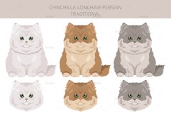 Chinchilla Persian Longhair Traditional clipart Product Image 4