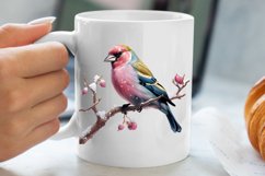 Christmas Birds Clipart , Christmas Birds Clipart Product Image 5