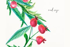 Watercolor wedding frame clipart #w171 Product Image 6