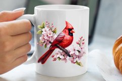 Christmas Cardinal Watercolor Clipart, Christmas Cardinal Product Image 5