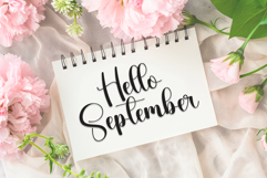 Wedding Christmas Product Image 5