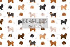 Russian Tsvetnaja Bolonka clipart Product Image 6