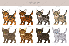 Toyger Cat clipart Product Image 4