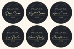 Mastine Elegant Handwritten Font Product Image 5