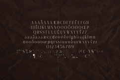Dree Elegant Modern Serif Font Product Image 5