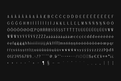 Stolen Love Rough Serif Font Product Image 5