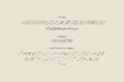 Sorel Lyrical Signature Script Font Product Image 5