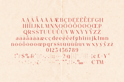 Gorga Vintage Serif Font Product Image 5
