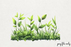 Watercolor Grass Borders Clipart PNG Product Image 1