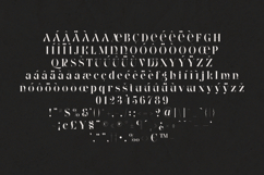 Wonderz Echo Luxury High-Contrast Serif Display Font Product Image 5