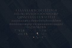 Alora Elegant Modern Serif Font Product Image 5