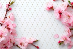 Pink Flowers Background PNG, Sakura Background Designs Product Image 5