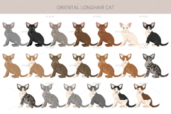 Oriental Longhair cat Product Image 4